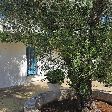 Belle Puglia * San Vito dei Normanni