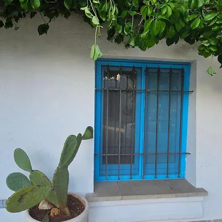 Belle Puglia