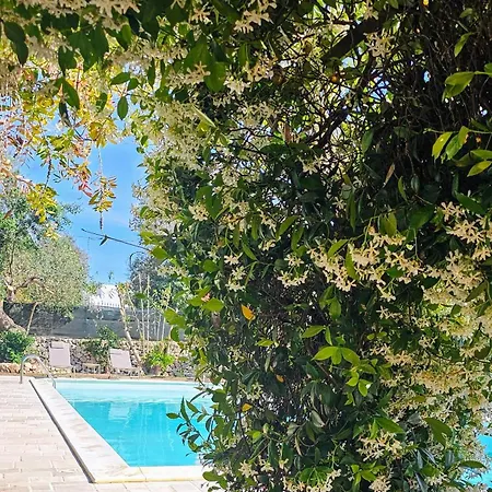 Belle Puglia