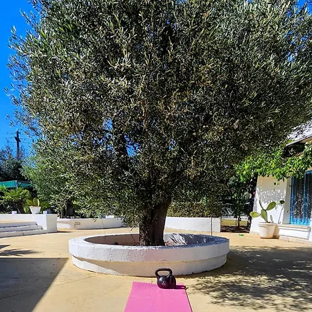فيلة Belle Puglia