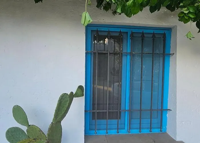 Belle Puglia