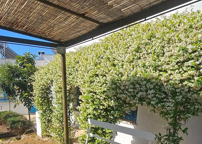 Belle Puglia 别墅 圣维托诺曼