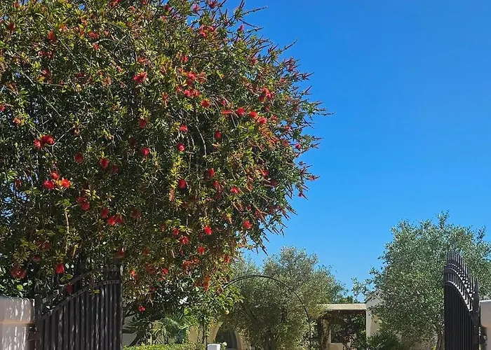 别墅 Belle Puglia 圣维托诺曼